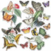 Kleurrijke  kunst vlinders en bloemen sticker (Voorkant)