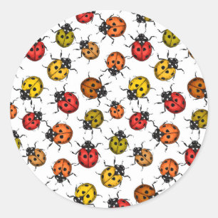 Kleurrijke ladybugs op wit ronde sticker