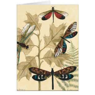 Kleurrijke libellen die boven bladeren drijven