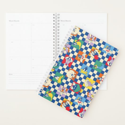 Kleurrijke LOONEY TUNES™ Checker Toss Pattern Planner (Display)