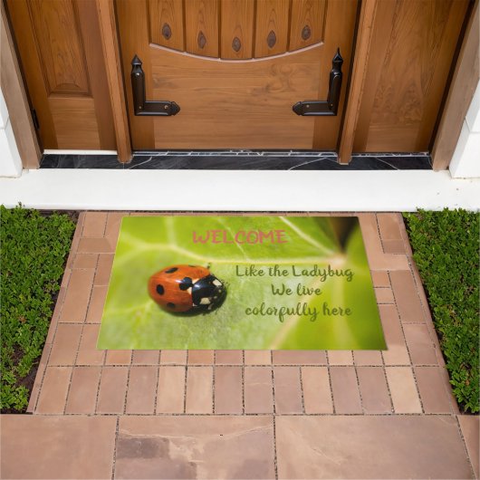 Kleurrijke Lucky Ladybug Deurmat (Buiten)
