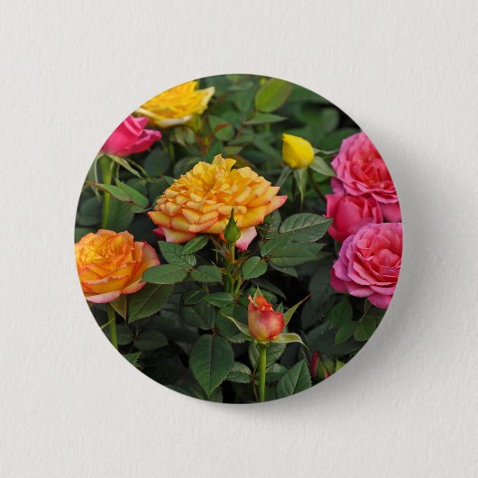 Kleurrijke miniatuurrozen ronde button 5,7 cm (Voorkant)
