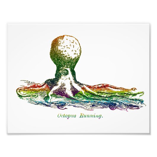 Kleurrijke muurkunst - Octopus Running Foto Afdruk (Voorkant)