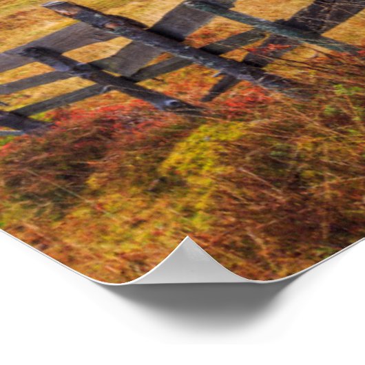 kleurrijke najaarscène met omheining in transsylva poster (Hoek)