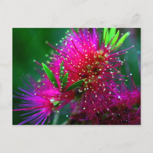 Kleurrijke Natuur Floral Hot Pink Neon Green Flowe Briefkaart