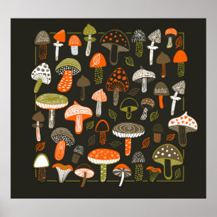 Kleurrijke paddenstoelen: Fairy Collectie Poster