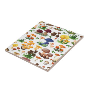 Kleurrijke paddenstoelen tegeltje