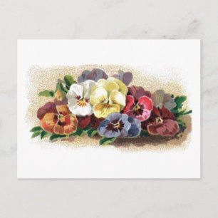 Kleurrijke Pansies Floral Briefkaart
