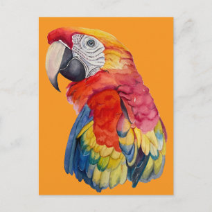 Kleurrijke Papegaai Waterkleur Illustratie Briefkaart