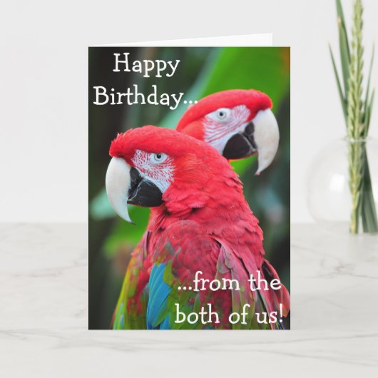 Kleurrijke papegaaien verjaardag wenskaart kaart (Voorkant)