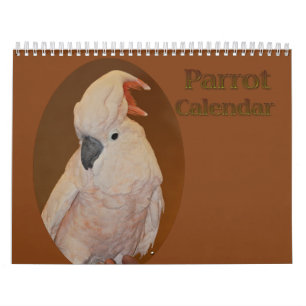 Kleurrijke papegaaikalender kalender