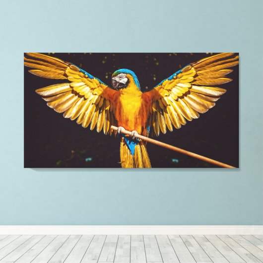 Kleurrijke paraket Winged Bird Canvas Afdrukken (Insitu (Houten vloer))