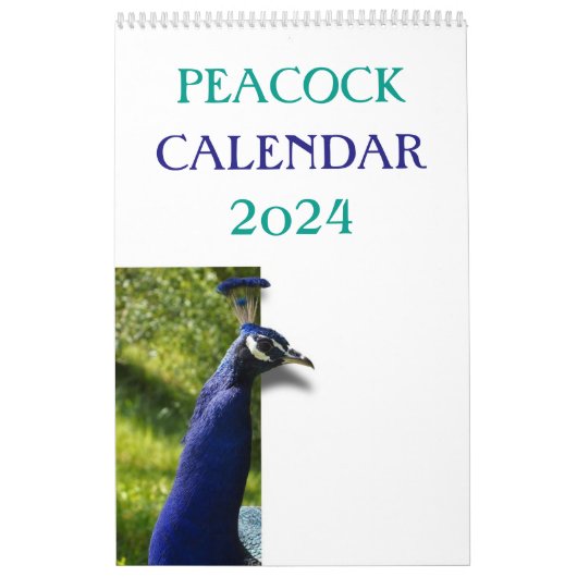 Kleurrijke Pauw 2025 Kalender (Hoes)