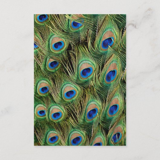 Kleurrijke pauw bruiloft details informatiekaartje (Achterkant)