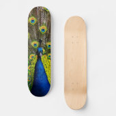 Kleurrijke pauw skateboard (Voorkant)