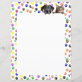 Kleurrijke Paw Prints met Hond en Kat 8.5 x 11