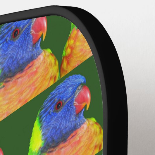 Kleurrijke Rainbow Loriket Parrot Patroon Pickleball Paddle (Links Detail)