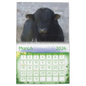 Kleurrijke rasdieren kalender (Mar 2026)