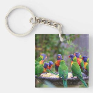 Kleurrijke Regenboog Lori's Papegaaien Eten Sleutelhanger