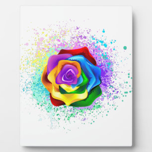 Kleurrijke Regenboog Roos Fotoplaat