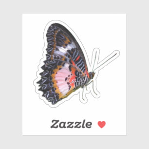 Kleurrijke regenwoudvlinder sticker