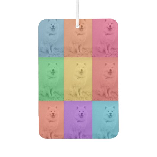 Kleurrijke Retro Pop Art Custom Dog Pet Photo Grid Luchtverfrisser (Voorkant)