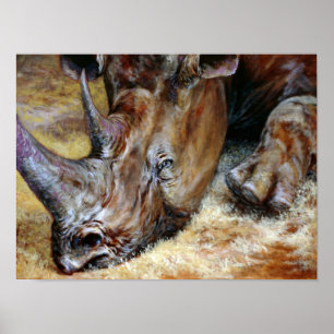 Kleurrijke Rhinoceros Foto gedrukt Poster