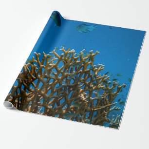 Kleurrijke riffen cadeaupapier