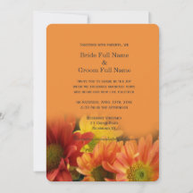 Kleurrijke rode, gele, oranje madeliefjes bloemen