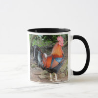 Kleurrijke rode haan