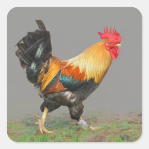 Kleurrijke Rooster schilderij Vierkante Sticker
