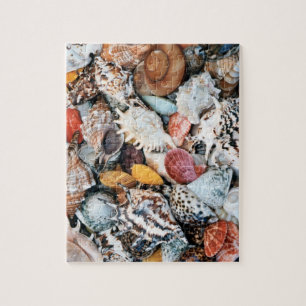 Kleurrijke schelpen legpuzzel