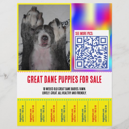 Kleurrijke scheur van puppy verkopende flyer (Voorkant)