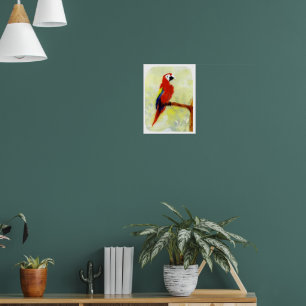 Kleurrijke Schildering Ara Papegaai Poster
