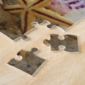 Kleurrijke Seashells op het strand 252 stuk puzzel (Zijkant)