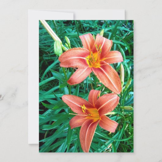 Kleurrijke Sinaasappel Lilly Grootmoeder Verjaarda Kaart (Achterkant)