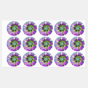Kleurrijke spiraalvormige ronde vormen Abstracte f Labels