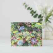 Kleurrijke Succulent Garden Briefkaart (Staand voorkant)