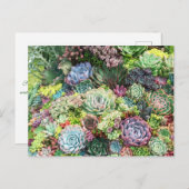 Kleurrijke Succulent Garden Briefkaart (Voorkant / Achterkant)