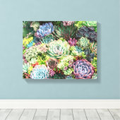 Kleurrijke Succulent Garden Canvas Afdruk (Insitu (Houten vloer))