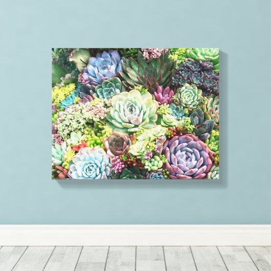 Kleurrijke Succulent Garden Canvas Afdruk (Insitu (Houten vloer))