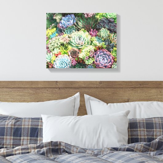 Kleurrijke Succulent Garden Canvas Afdruk (Insitu (Slaapkamer))