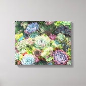 Kleurrijke Succulent Garden Canvas Afdruk (Voorkant)