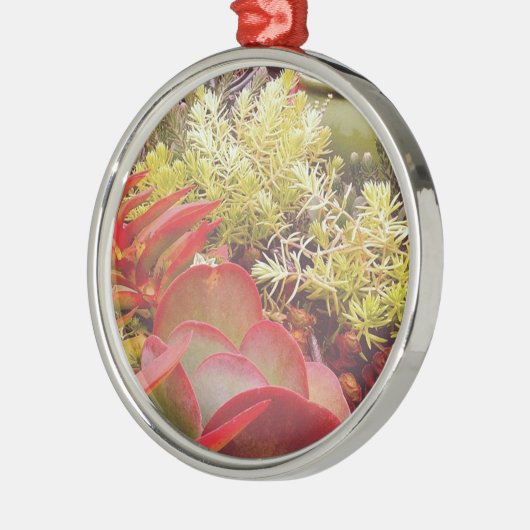 kleurrijke Succulenten Metalen Ornament (Links)