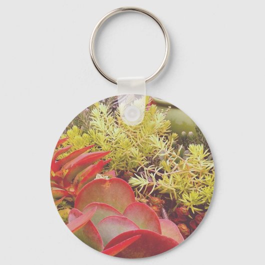 kleurrijke Succulenten Sleutelhanger (Voorkant)