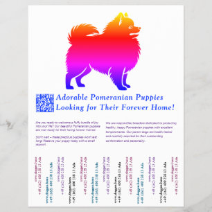 Kleurrijke tekening van een Pomeranian pup Flyer