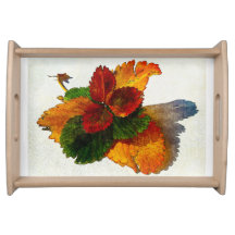 Kleurrijke tinten van herfstbladeren