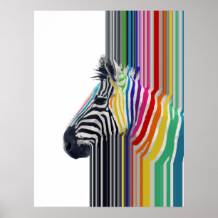 Kleurrijke trilstrips voor Zebra Poster