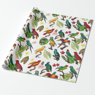 Kleurrijke tropische parrots, bladeren en bloemen cadeaupapier