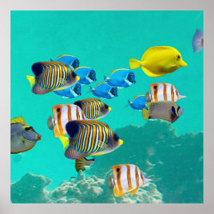 Kleurrijke tropische vis met koraalrif poster